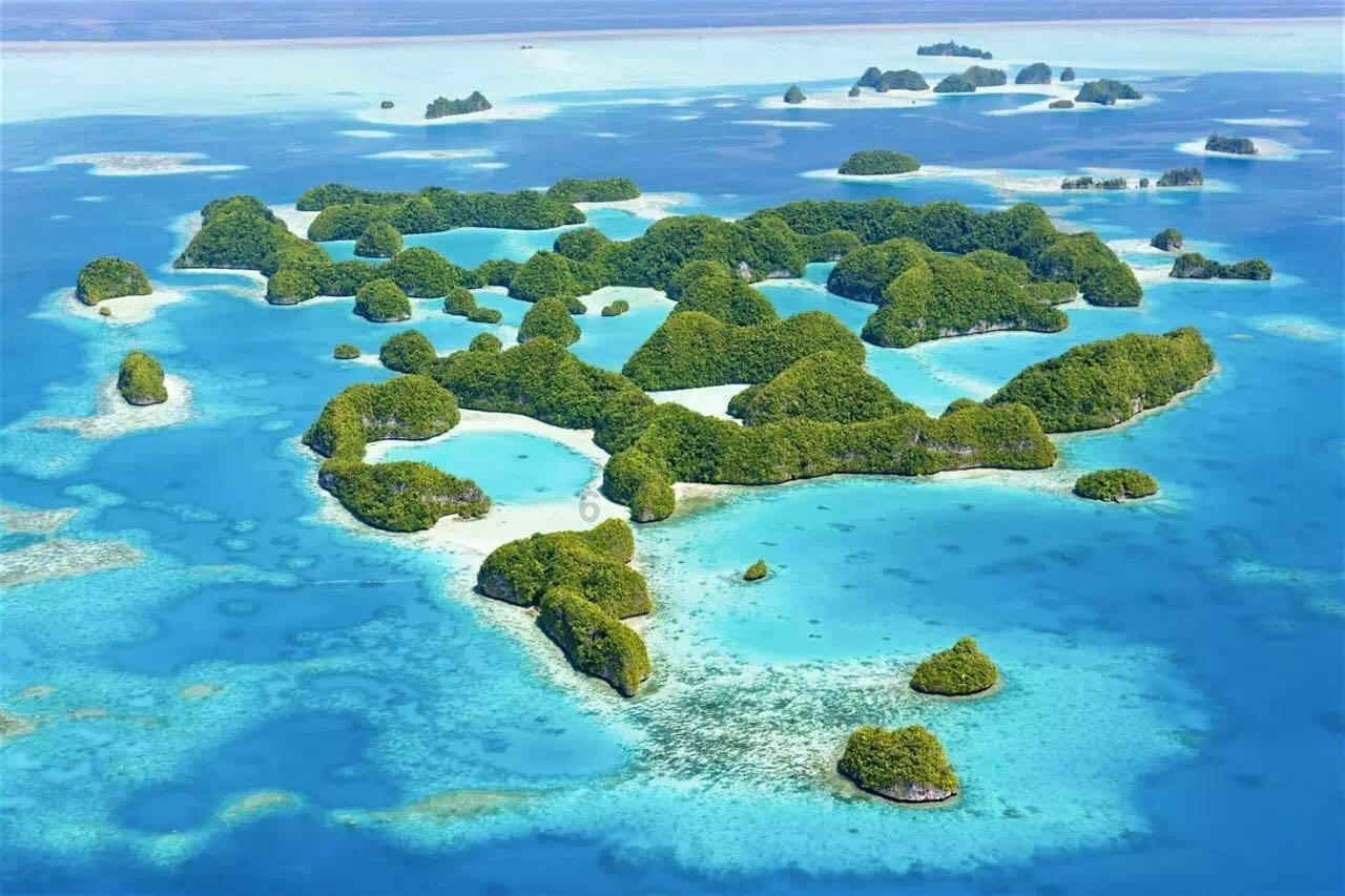 初试205分立信MAud复试逆袭学姐，全方位复试解读，助你成功上岸！