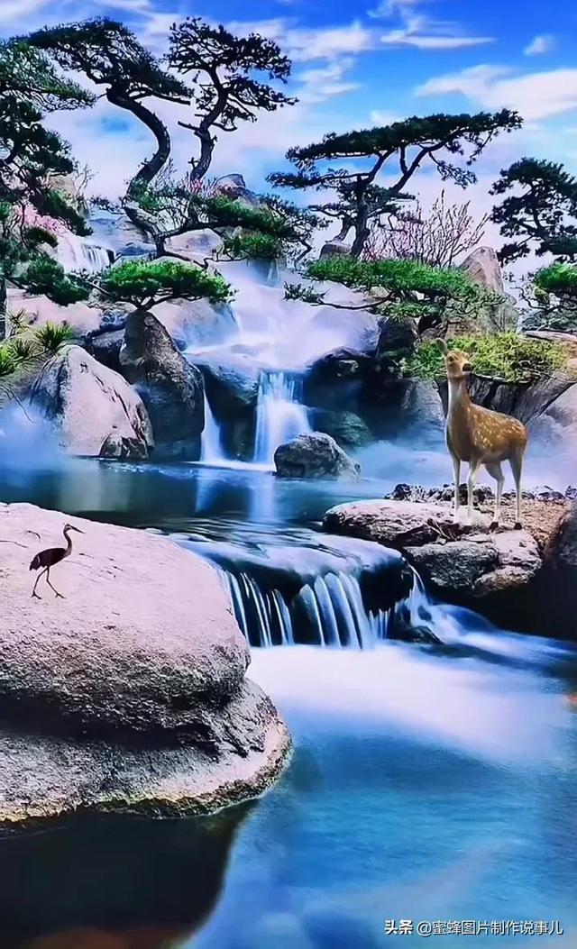 异星探险家